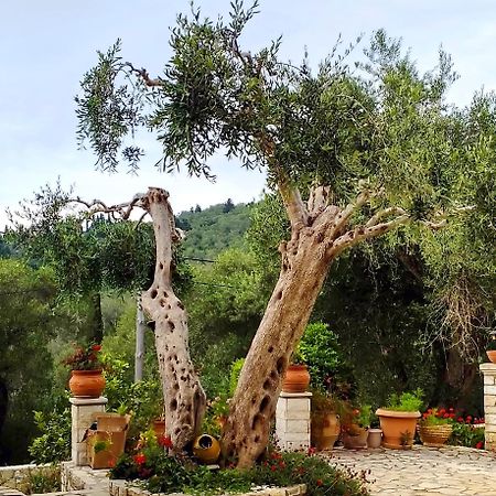 Villa Raxi Fountana Екстериор снимка