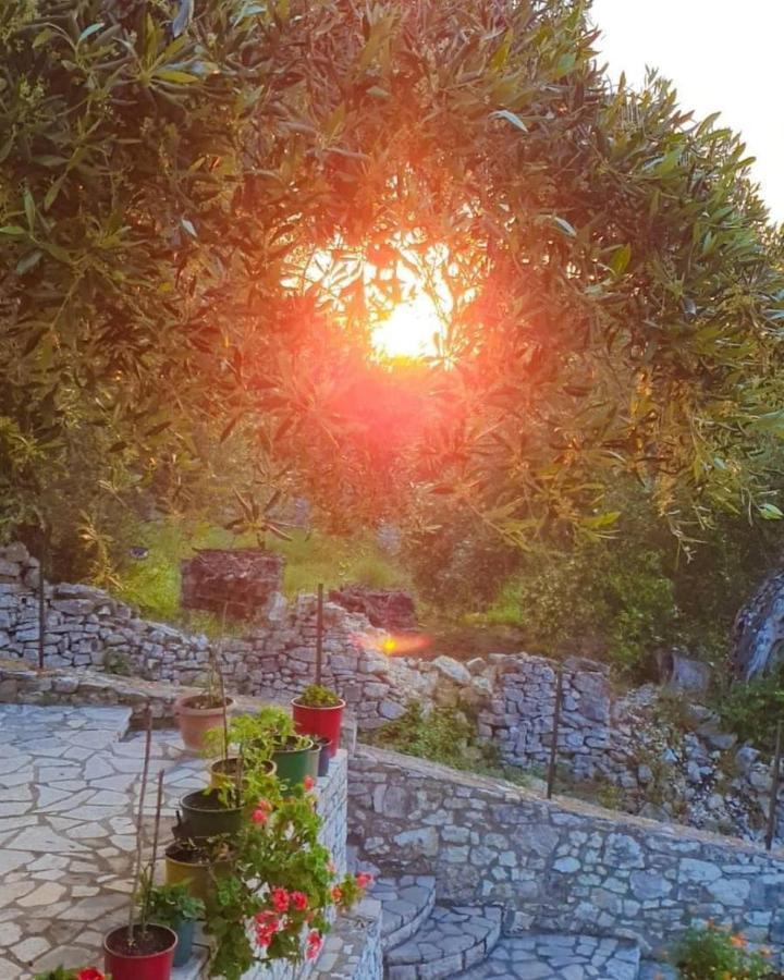 Villa Raxi Fountana Екстериор снимка